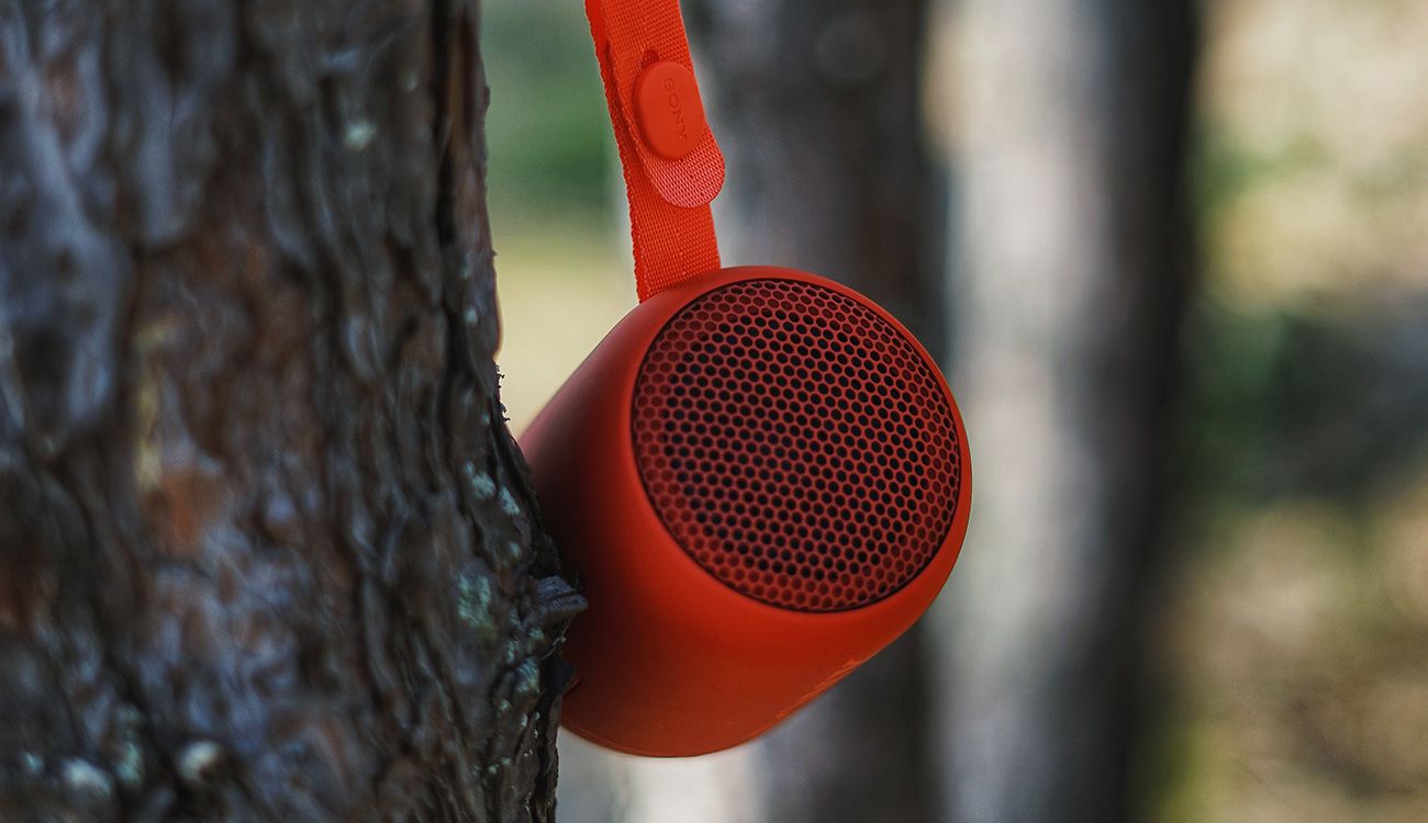 Choosing the perfect speaker